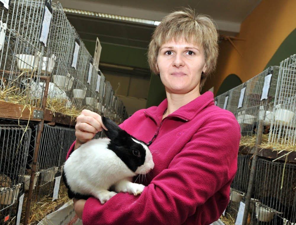 Vereinsmitglied Christin Mienert zeigt ein Kaninchen.
