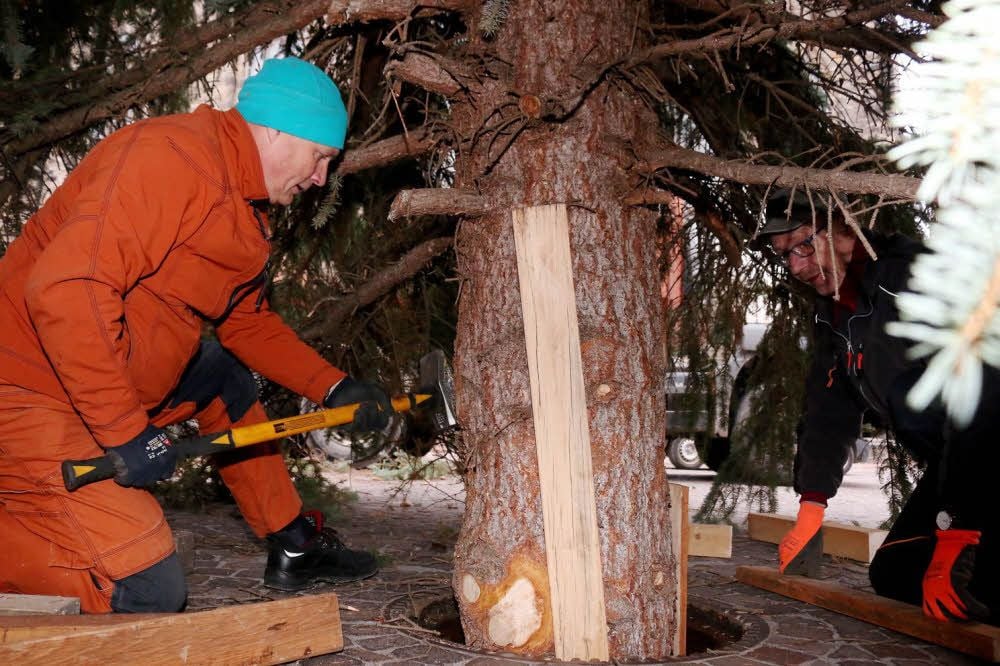 Bodo Bederke (li.) und Uwe Harnisch beim Verkeilen des Baumes