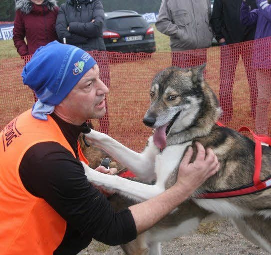 Jetzt sind Musher Maik Thomßen und seine Hunde ein Rennteam.