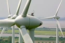 Windräder (Foto: dpa)