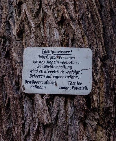 Ein Schild am Baum