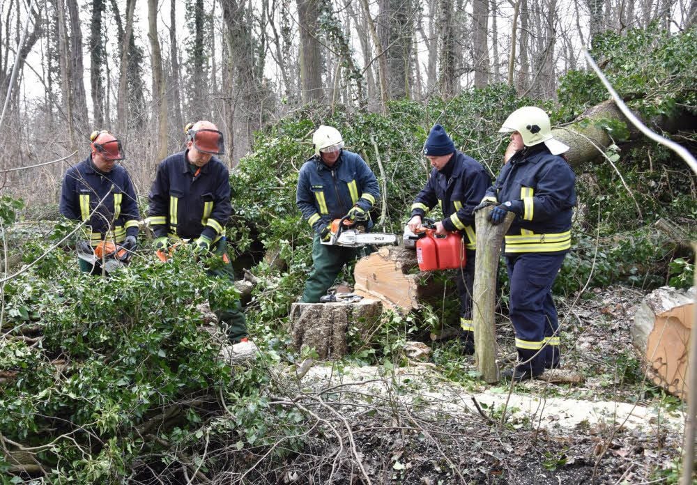 Die Feuerwehrleute um Stadtwehrleiter Heiko Schmidt (M.) zerkleinern Bäume in der Fasanerie.