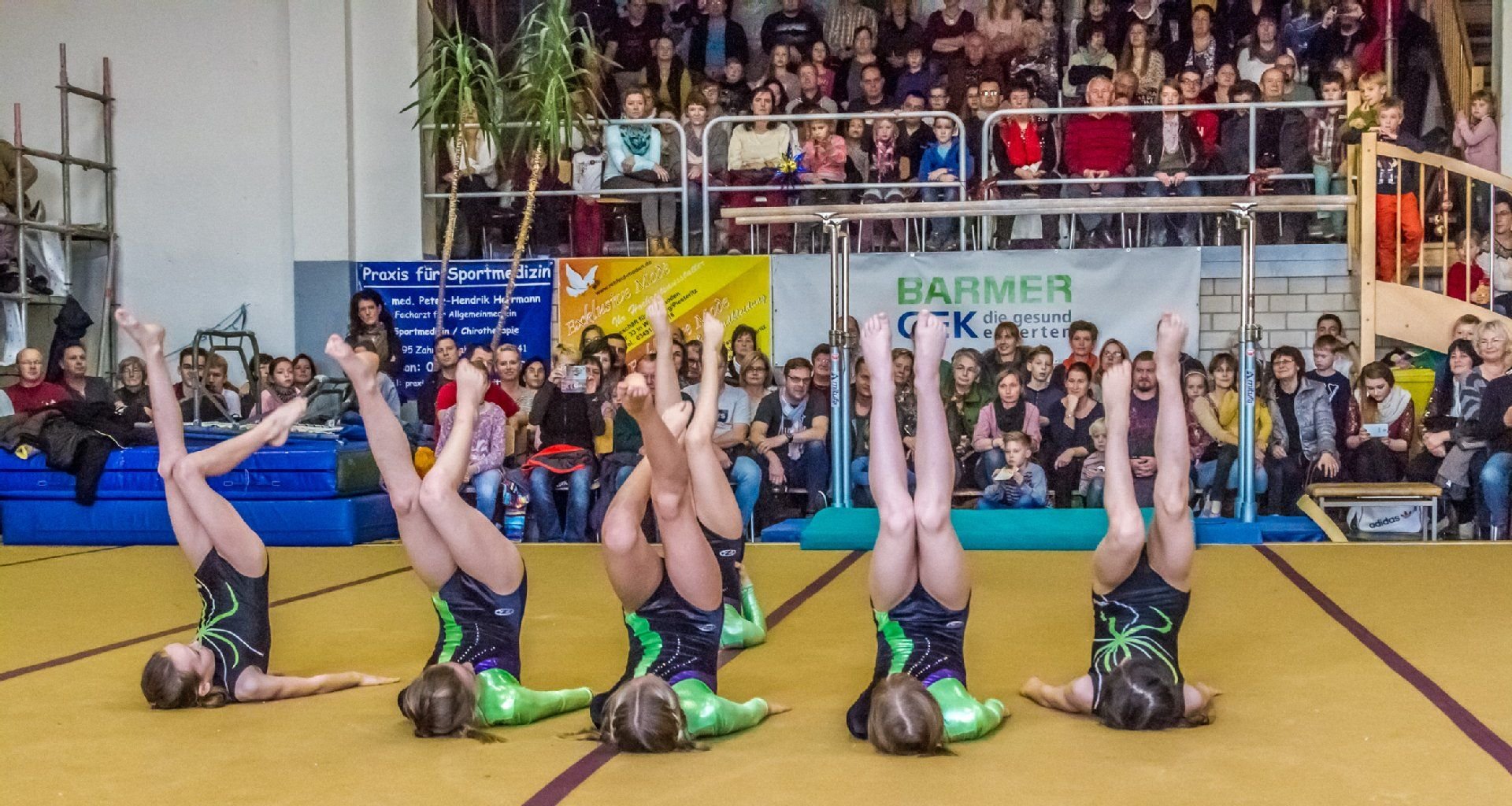 Hunderte Zuschauer kamen zum Weihnachtsschauturnen von Grün-Weiß in die Turnhalle "Am Elbhafen".