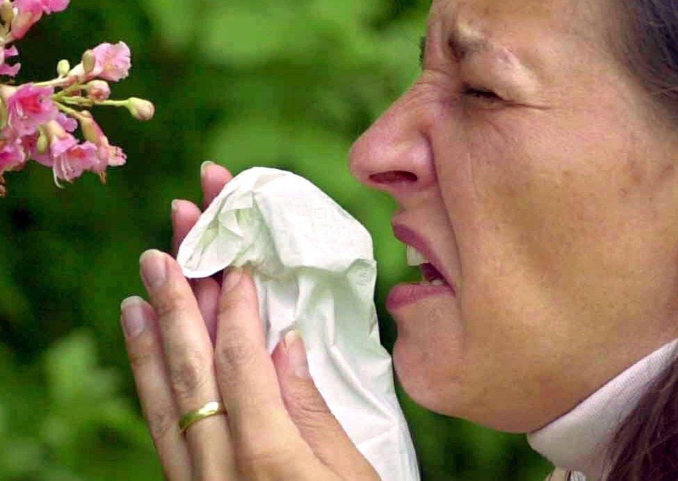 Nasen triefen, Augen jucken: Am häufigsten leiden Allergiker unter einer Pollenallergie.