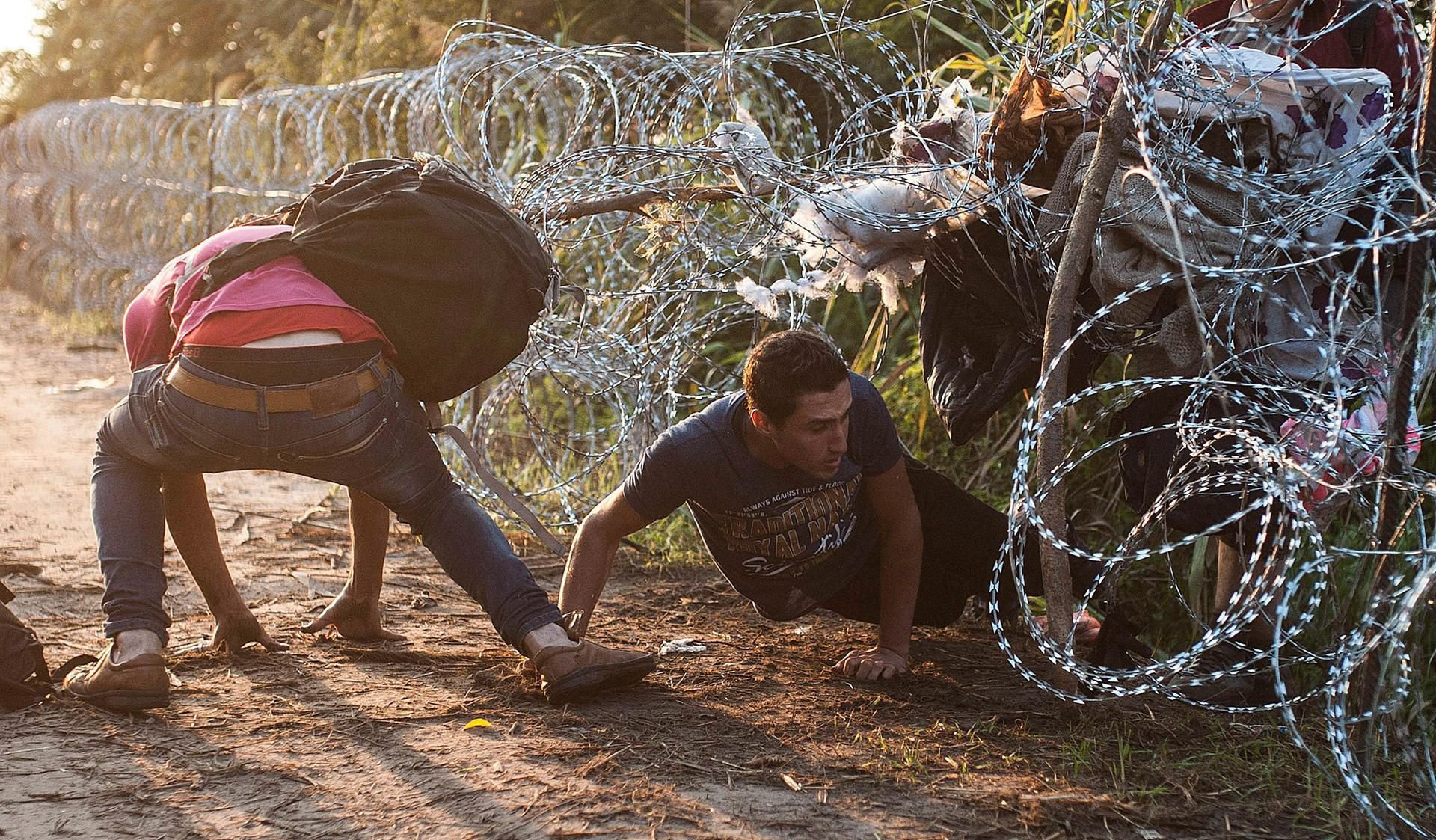 Flüchtlinge durchbrechen den Stacheldraht-Zaun an der Grenze zwischen Ungarn und Serbien.