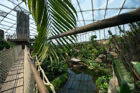 Blick in die «Gondwanaland» im Leipziger Zoo. (ARCHIVFOTO: DPA)