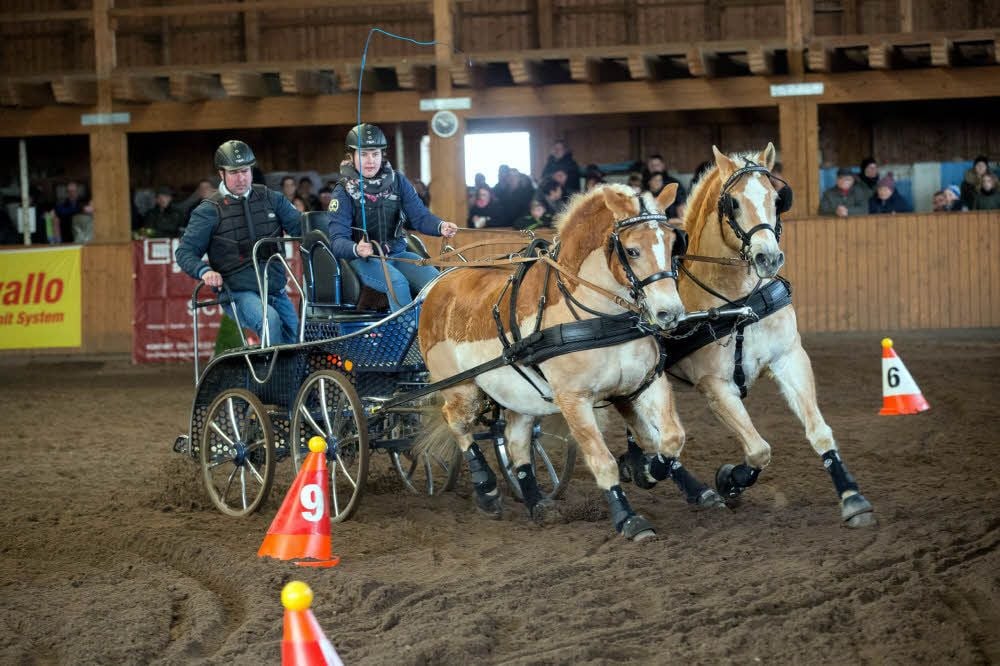 Souverän umkurvte Michelle Bloßfeld mit ihren Ponys Conrad und Albrecht in Prettin die aufgestellten Hindernisse.