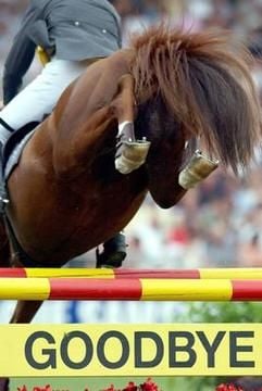 Ludger Beerbaum springt auf «Goldfever» über ein Hindernis. (Foto: dpa)