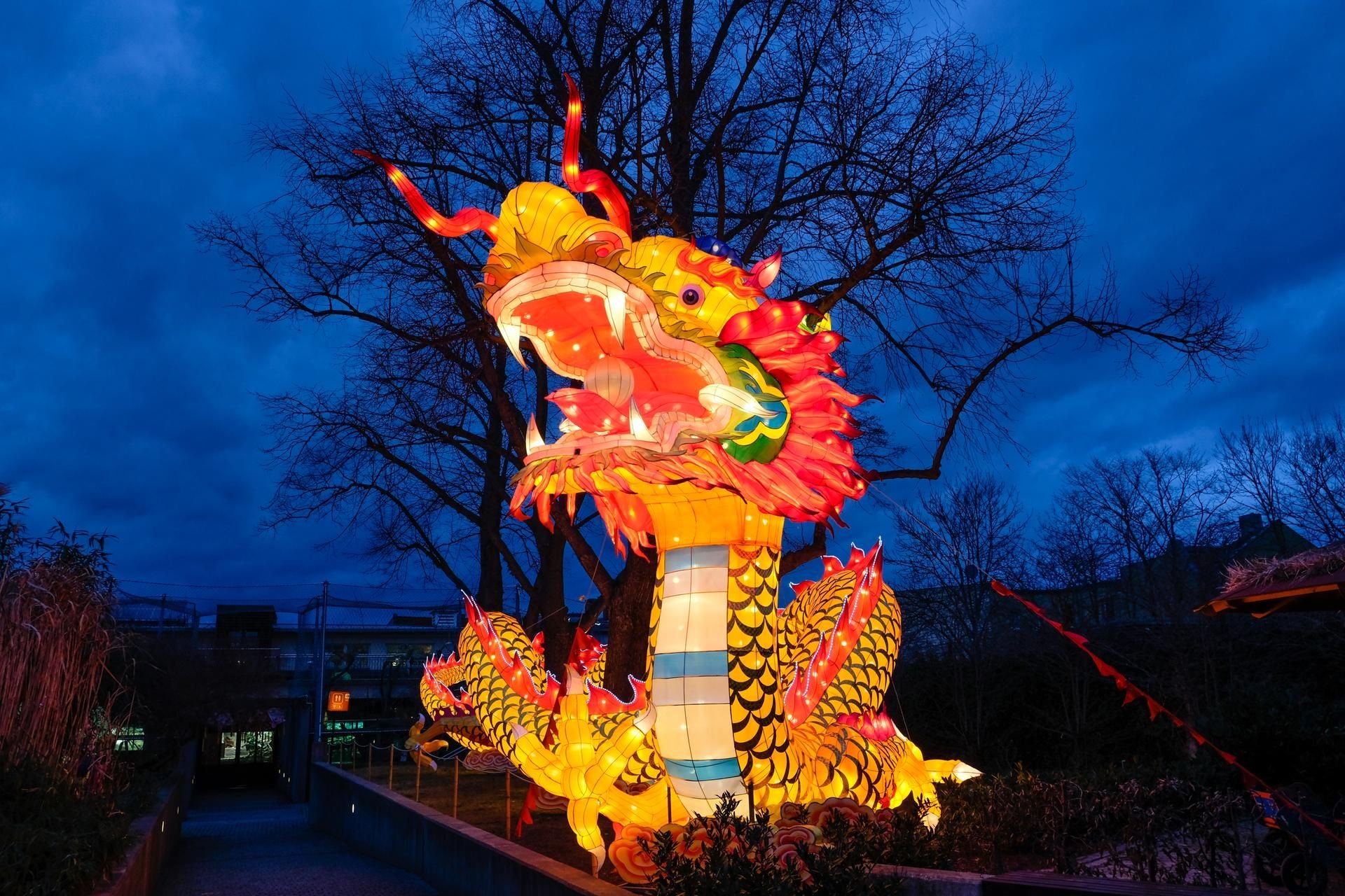 Ein chinesischer Drache bei den „Magischen Lichterwelten“ im Zoo Halle. Die Show verzauberte im Frühjahr 70.000 Besucher.