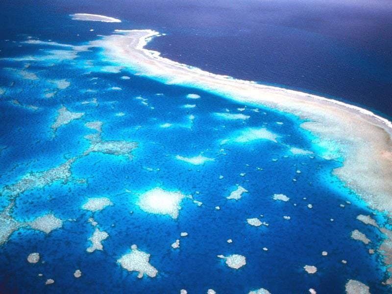 Luftaufnahme des Great Barrier Riffs vor der Küste Australiens: Die beispiellose Korallenbleiche über hunderte Quadratkilometer hat die schlimmsten Befürchtungen übertroffen. Foto: Great Barrier Reef Marine Park