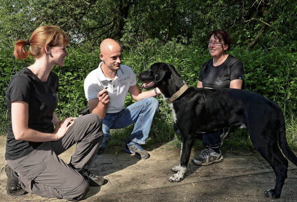 Ralf Schwerdtfeger und Tekila beim Training mTraining mit Dana it Dana Witte und Elke Heinevetter.