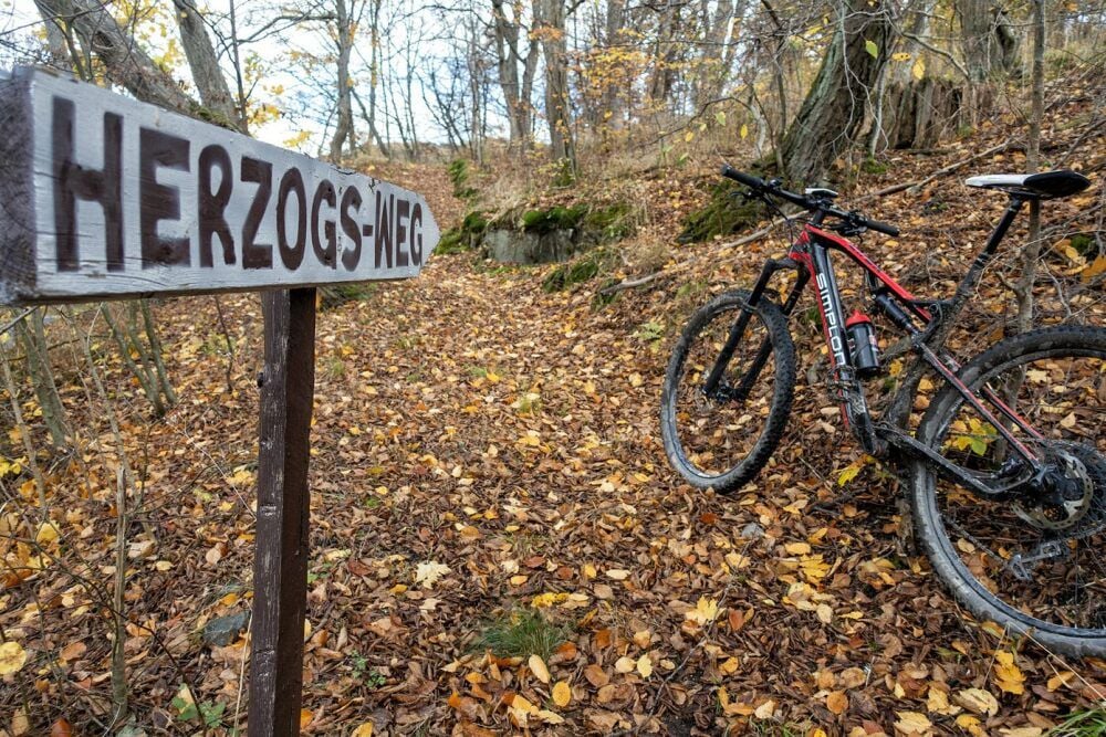Auf geht’s: Zwischen Altenbrak und Todtenrode muss noch mal bergauf gestrampelt werden.