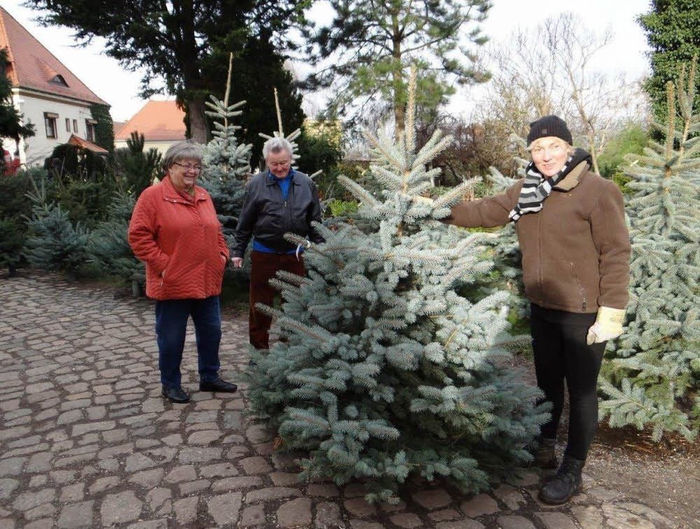 Jana Dotschkal von Gartenbau Forner präsentiert den Eheleuten Gabler eine Blaufichte.