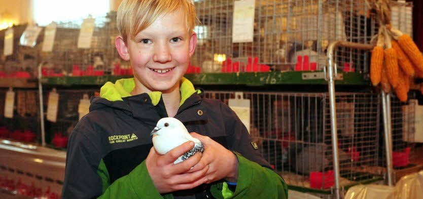 Jungzüchter Markus Heinrich ist stolz auf seine Eistauben.