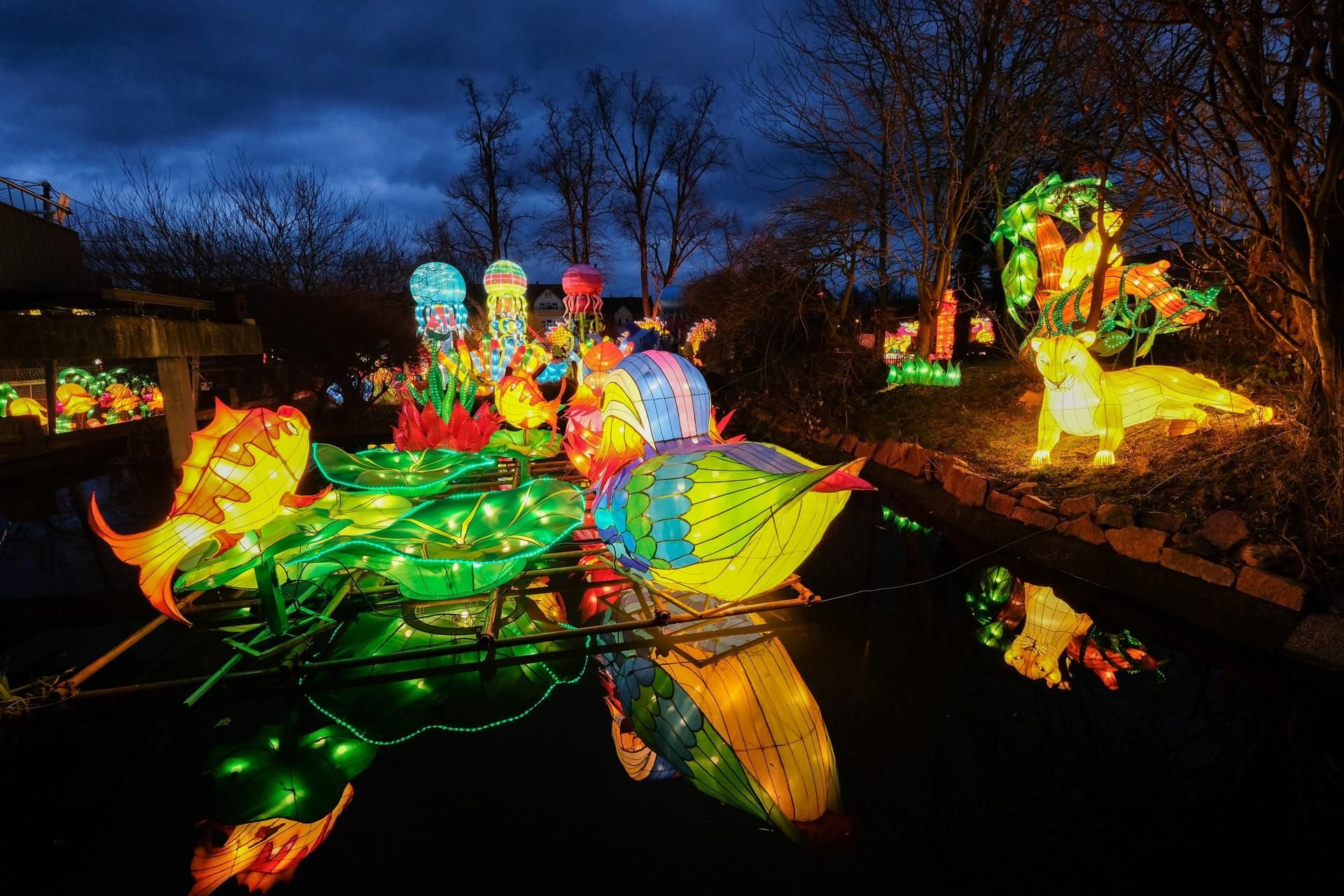 So bunt strahlt der Zoo derzeit in Halle. Die „Magischen Lichterwelten“ gehen in die Verlängerung.