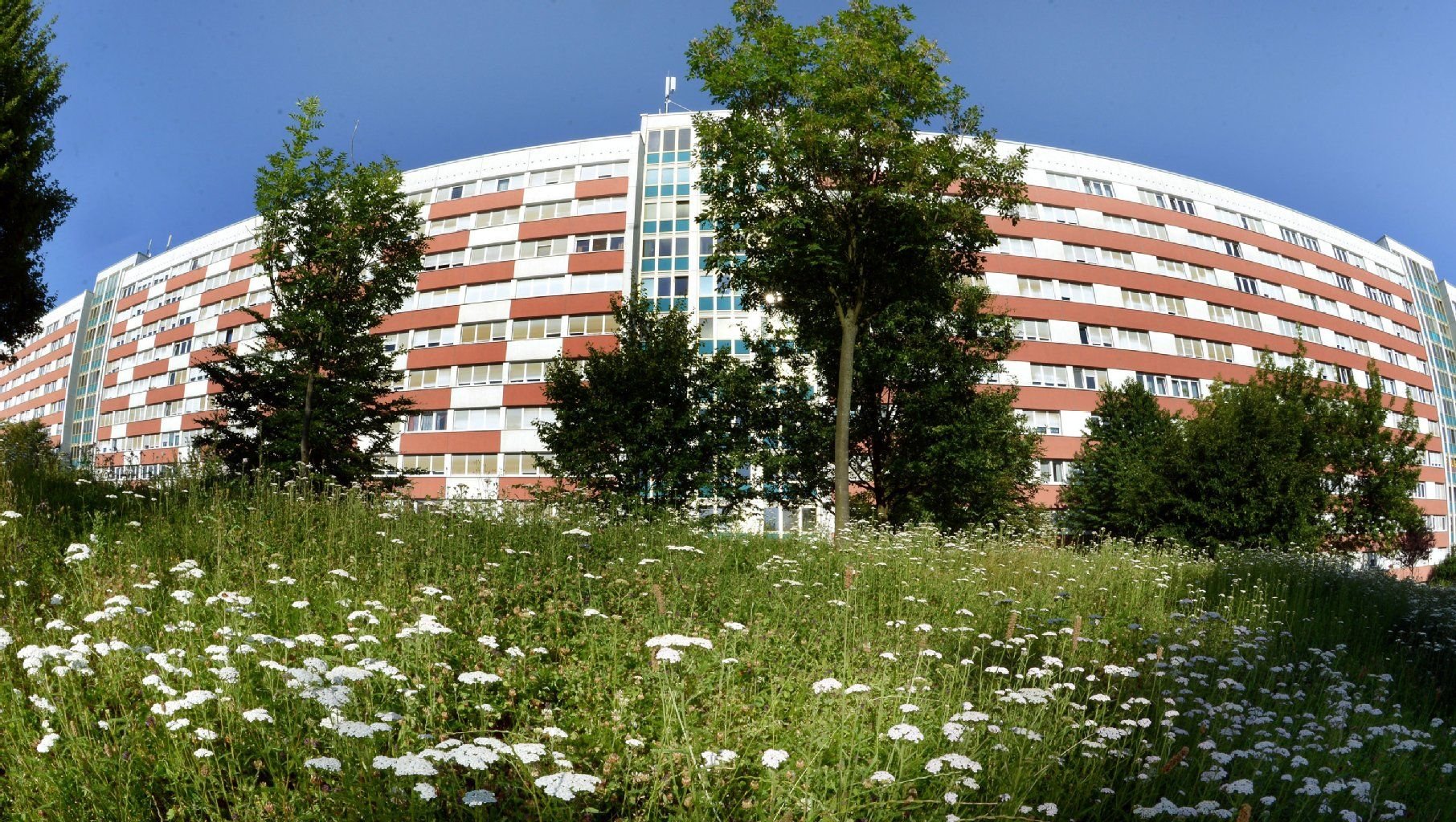 Eines der längsten Häuser Deutschlands, die "Lange Lene" in Leipzig.