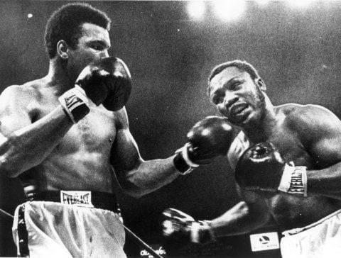 US-Schwergewichtsboxer Muhammad Ali (l) trifft seinen Landsmann Joe Frazier mit einer kraftvollen Linken (Archivfoto vom 28.1.1974). Sie waren die Hauptdarsteller in den drei besten Schwergewichtskämpfen der Box-Geschichte, haben für unvergessliche Momente gesorgt, sind Legenden. (FOTO: DPA)