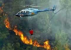 Ein Feuerlösch-Hubschrauber im Einsatz in der Region Oliveira de Frades im Norden von Portugal.