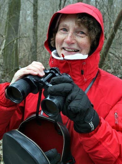 Gertrud Pfannkuchen aus Gröna beobachtet gerade einen Waschbären.