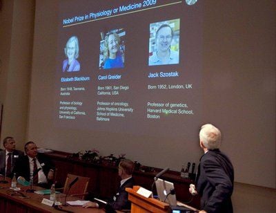Professor Rune Toftgard (rechts), zeigt Portraits der Gewinner des Medizin-Nobelpreises 2009. (FOTO: DPA)