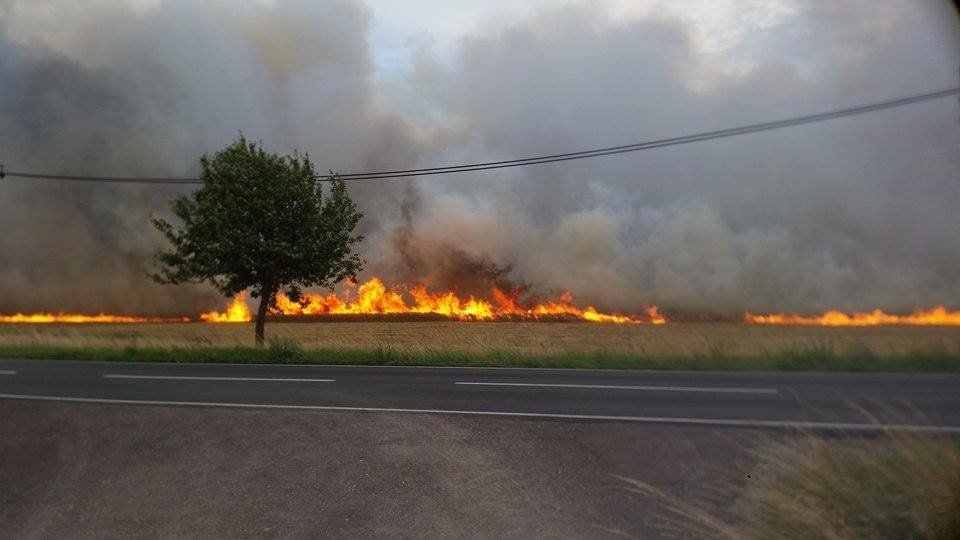 Feldbrand direkt am Ortsausgang von Aken in Richtung Kühren.