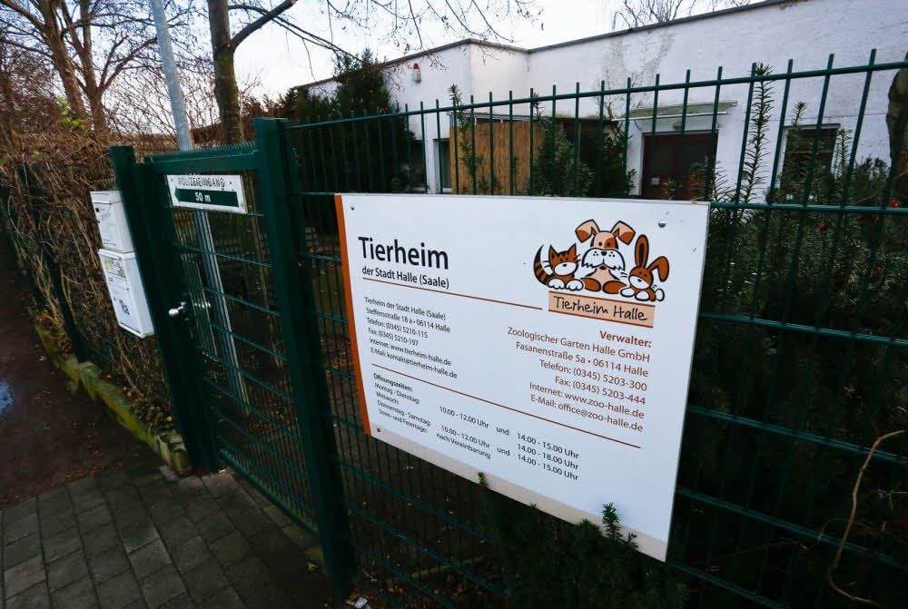 Unerwarteter Geldsegen: Das Tierheim bekommt aus dem Vermächtnis einer Hallenserin erhält 51.000 Euro.