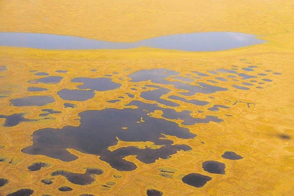 In der Tundra-Landschaft des Lena-Deltas haben sich inzwischen viele Seen gebildet.