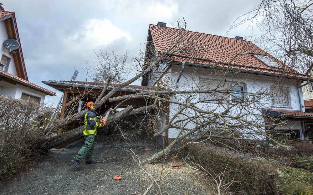 In der Suderöder Straße in Gernrode hat Orkan „Friederike“ Bäume umgerissen.