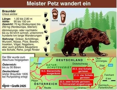 Ein Bär in Deutschland (Grafik: dpa)