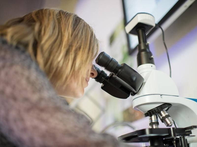 Immer noch ergreifen Frauen seltener einen „Mint-Beruf” als Männer. Dadurch haben sie einen geringeren Anteil an dem wachsenden Wirtschaftsbereich. Foto: Wolfram Kastl