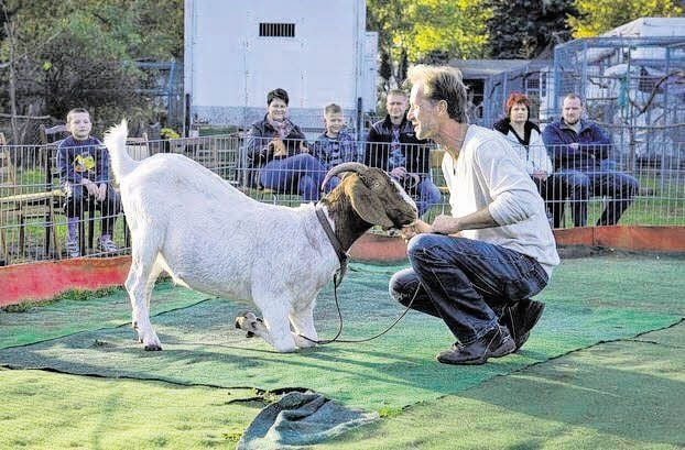 Eine tierische Show.