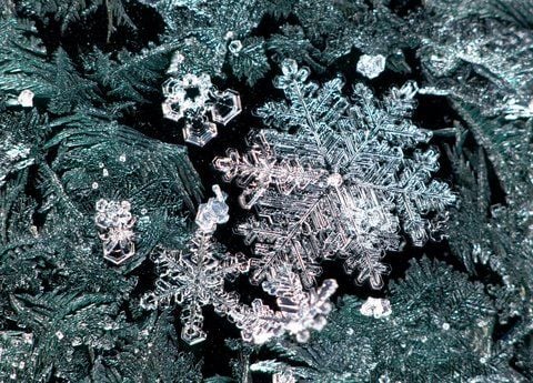 Eiskristalle haben sich nach nächtlichen Tiefsttemperaturen von minus 25,7 Grad Celsius auf der Scheibe eines Autos gebildet. (FOTO: DPA)