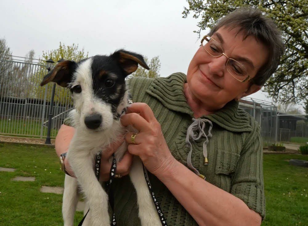 Silvia Wolter kann die kleine Parson-Jack-Russel-Hündin kaum in Zaum halten.