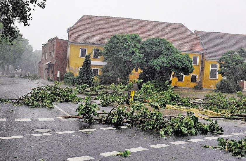 Auch in Eutzsch wütete das Unwetter mit Regen und Hagel und ließ Bäume und Äste auf die Straße stürzen.