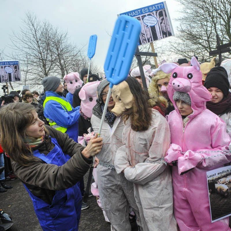 Im März hatte das „Deutsche Tierschutzbüro“ eine Demonstration vor dem Schweinehochhaus initiiert.