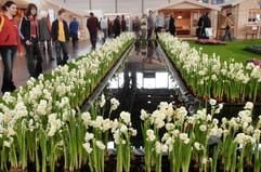 Während für die Nacht Temperaturen von bis zu Minus 10 Grad angekündigt werden, können am Donnerstag (19.02.2004) die Besucher auf der Messe "Haus - Garten - Freizeit" in Leipzig einen blühenden Frühlingsgarten genießen. Auf der größten ostdeutschen Publikumsmesse präsentieren bis zum Sonntag (22.02.2004) 800 Aussteller aus 25 Ländern u.a. Anregungen zur bevorstehenden Gartensaison, kulinarische Köstlichkeiten und Tips für den Heimtierbereich an. (Foto: dpa)