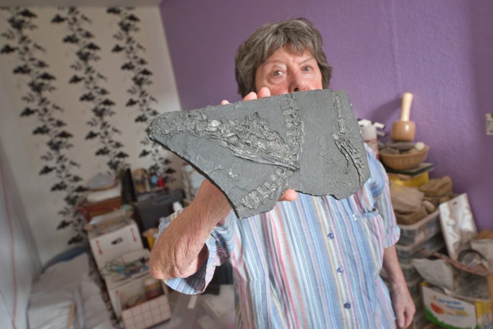 Elisabeth Kuster-Wendenburg zeigt im Haus der Natur in Meisdorf das fossile Skelett eines kleinen Dinosauriers.