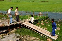 Eine massive Algen-Plage vor der Küste von Quingdao bedrohen die Segelwettbewerbe der Olympischen Spiele in Peking. 1 000 Einsatzkräfte versuchen dieses Problem in den Griff zu bekommen. (Foto: dpa)