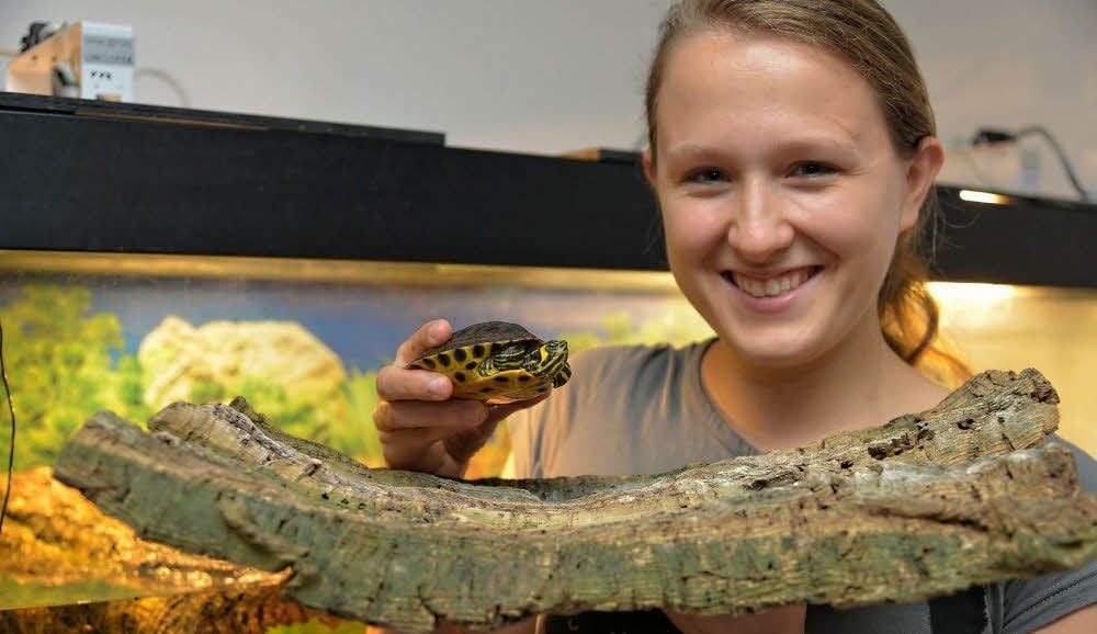Bei Johanna Klein und ihrer Familie hat die kleine Schildkröte vorübergehend Aufnahme gefunden.