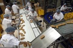 Mitarbeiter der Klemme AG in Eisleben verpacken Brötchen für den Versand. (Foto: dpa)