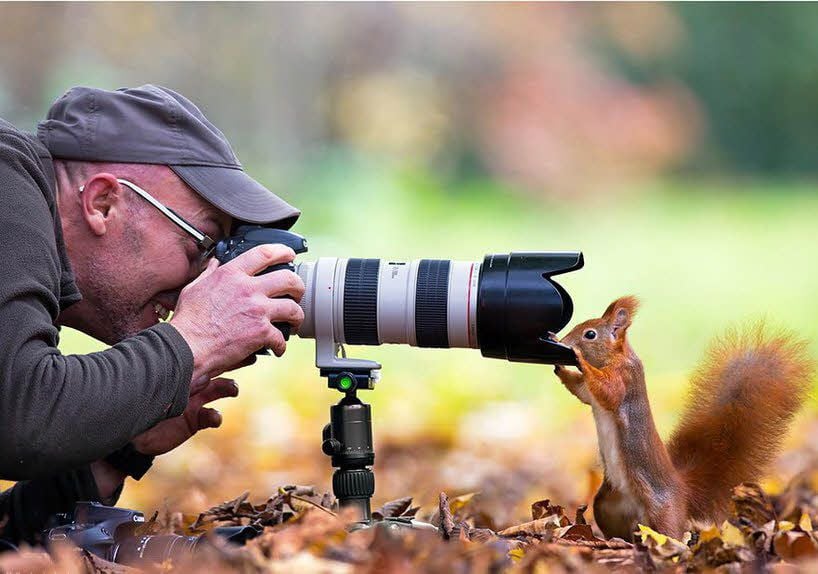 Guck mal, wer da guckt! - Thomas Hinsche und Eichhorn