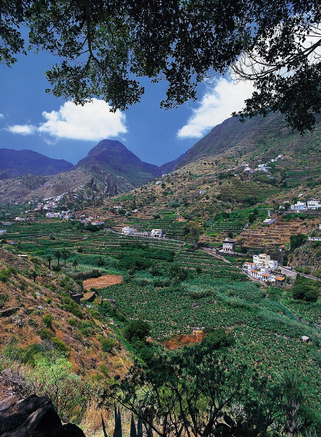 Zweitkleinste Insel der Kanaren: Auf La Gomera sucht man Hotelburgen vergeblich.