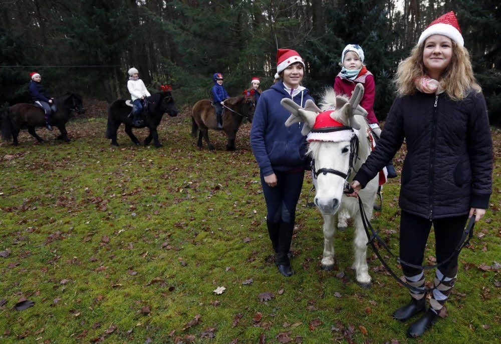 Kinder und Erwachsene vom Pferdehof Plodda laden zum Ponyreiten ein.