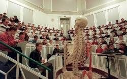 Studenten verfolgen im Hörsaal des Instituts für Anatomie der Martin-Luther-Universität Halle-Wittenberg eine Medizinvorlesung. (MZ-Foto: Archiv)