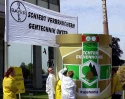 Greenpeace-Protest gegen gentechnisch veränderten