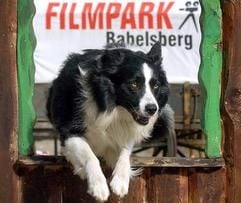 Stars von Morgen vor und hinter der Kamera werden am 14. August im Filmpark Babelsberg gesucht. (Foto: dpa)