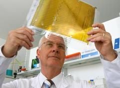 Professor Dr. Dieter Krause, Direktor des Instituts für Rechtsmedizin an der Otto-von Guericke-Universität in Magdeburg betrachtet in einem Labor eine DNA-Folie, aufgenommen am Dienstag (27.06.2006). (Foto: dpa)