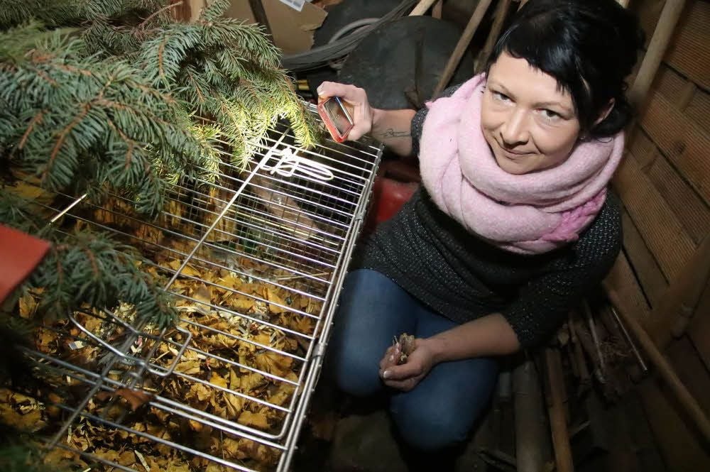 Angela Windrich schaut bei ihren Schützlingen nach dem Rechten.