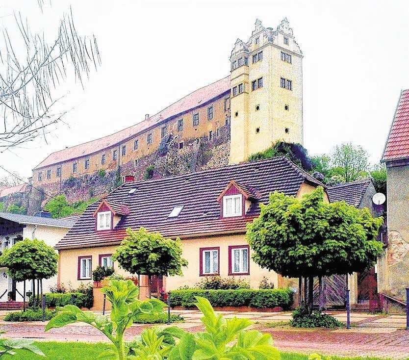 Wettin: Die Wiege des sächsischen Königshauses, die Burg Wettin, ist als Sitz des Gymnasiums für Besucher nicht täglich zugänglich. Um so interessanter verspricht ein Blick zu werden, den Besucher am Denkmalstag hinter die dicken Mauern werfen können. Führungen beginnen ab 10 Uhr stündlich bis 16 Uhr. Ein Höhepunkt ist die Besichtigung des Rittersaales mit alten Waffen.