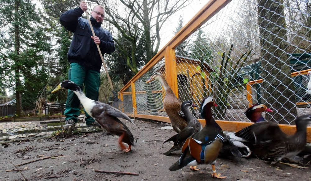 Der Heimatnaturgarten freut sich über eine Spende.